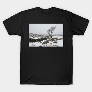 Sally Gap Snow T-Shirt